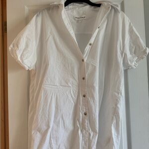 Aritzia Denim Forum Jane Shirt Dress